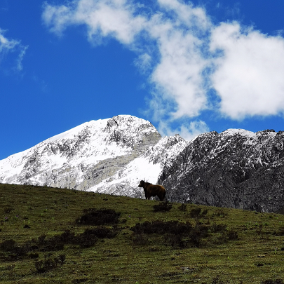 四姑娘山大峰是许多登山爱好者入门的第一座雪山，也是2022年自由之巅珠峰计划第一站重点聚焦的山峰。